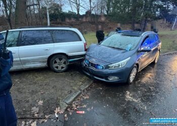 Jeden sprawca i pięć