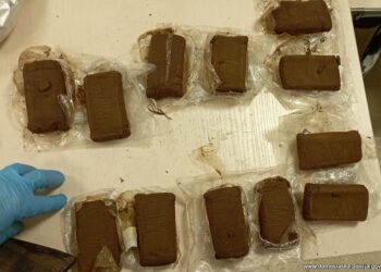 Kryminalni rozbili zorganizowaną