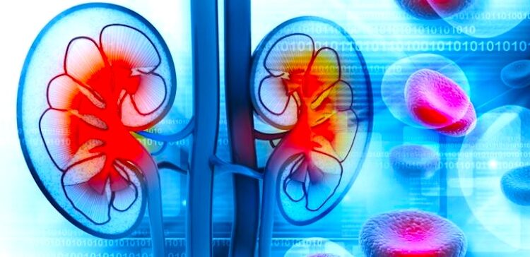 Pacjenci nefrologiczni apelują