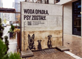 Woda opadła psy zostały