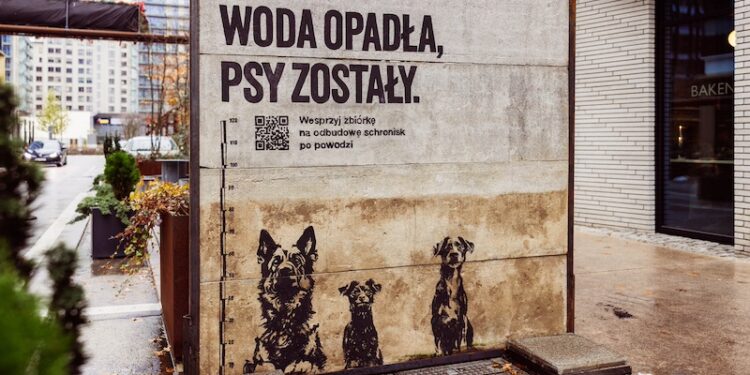 Woda opadła psy zostały