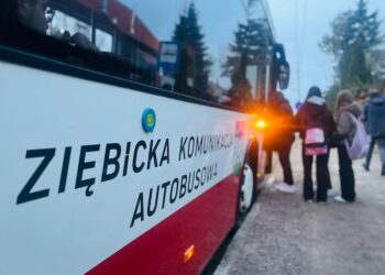 Wspólna komunikacja autobusowa