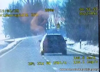 Wysokość mandatu podwaja się