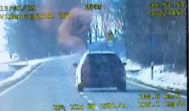 Wysokość mandatu podwaja się