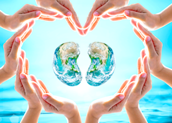 Dalsze losy programu