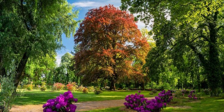 Dolnośląski reprezentant Polski