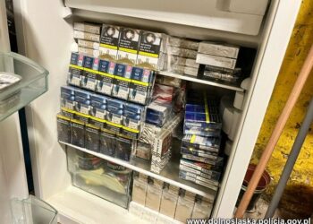 Nielegalny tytoń i papierosy