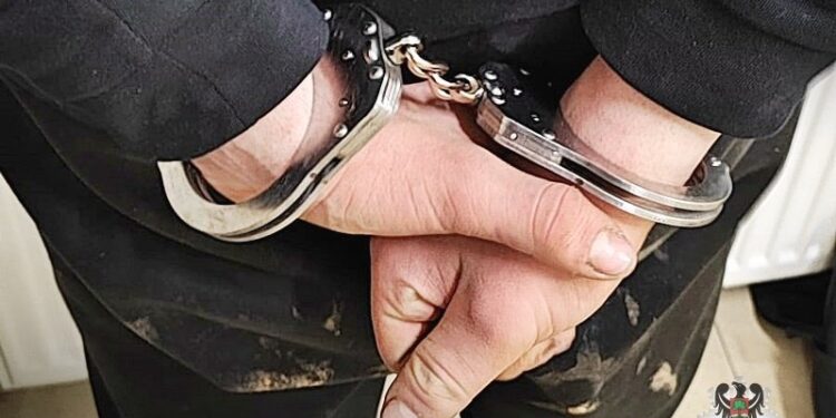 Odpowie za zabicie psa