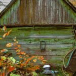 „Fotografuj sercem