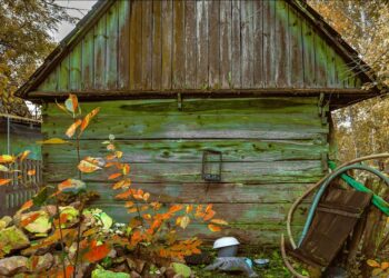 „Fotografuj sercem