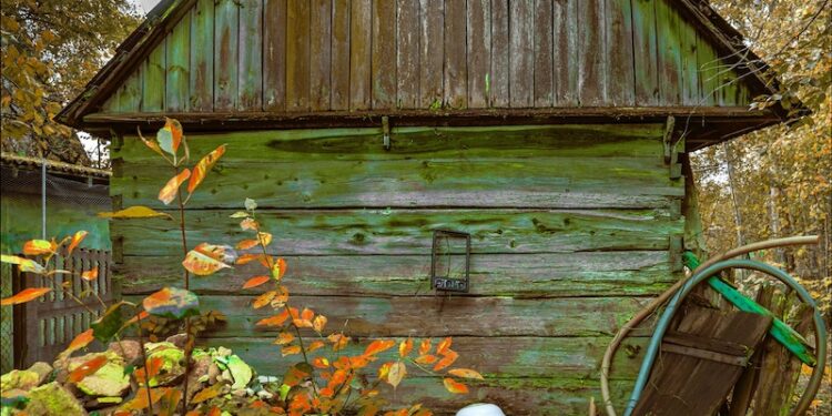 „Fotografuj sercem