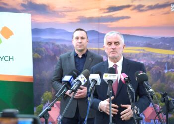 Dolnośląscy Liderzy Biznesu