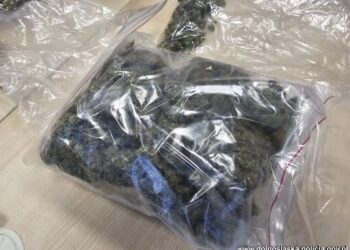 Razem popełniali przestępstwa