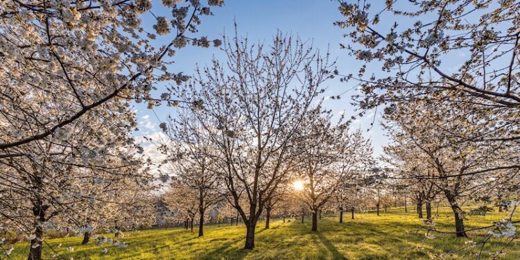 Arboretum Wojsławice bądź tam