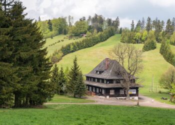 Na polskoczeskie warsztaty