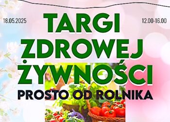 Szukasz pomysłu na rodzinny