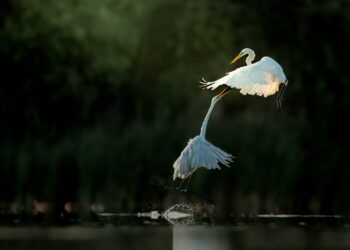 Rozpocznij lato w Krainie Niezwykłości