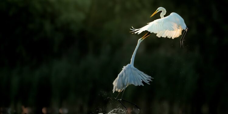 Rozpocznij lato w Krainie Niezwykłości