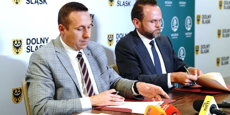 Łączenie sił na rzecz